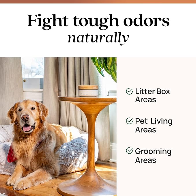 Azuna Pet Odor Eliminator for Strong Odor | 4 Room Kit Includes (4) Empty Luxe Glass Jar & 24oz Gel Refill | Plant Powered | Dog and Cat Room Deodorizer | Pet and Child Friendly | Cedarwood Scent