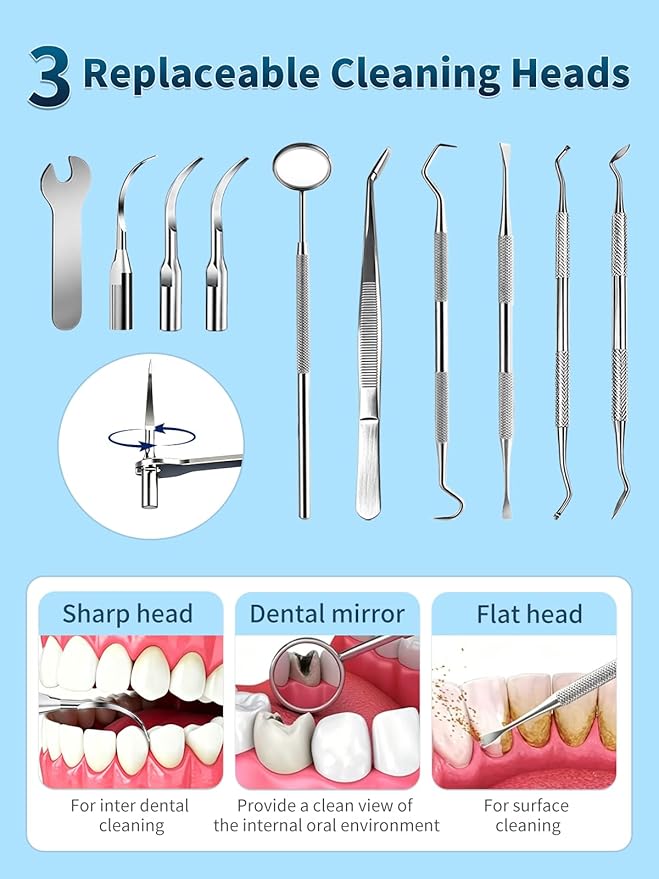Plaque Remover for Teeth - Teeth Cleaning Kit Tartar Remover for Teeth with LED Light & 5 Adjustable Modes, USB C Rechargeable, 4 Replaceable Heads&6 Dental Tools, IPX7 Waterproof for Home Use