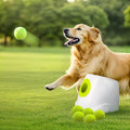 ALL FOR PAWS Automatic Dog Ball Launcher, Interactive Fetch Toy for Medium to Large Dogs, Rechargeable Pet Ball Thrower Machine for Outdoor Play, 6 Pcs 2.5-Inch Balls Included