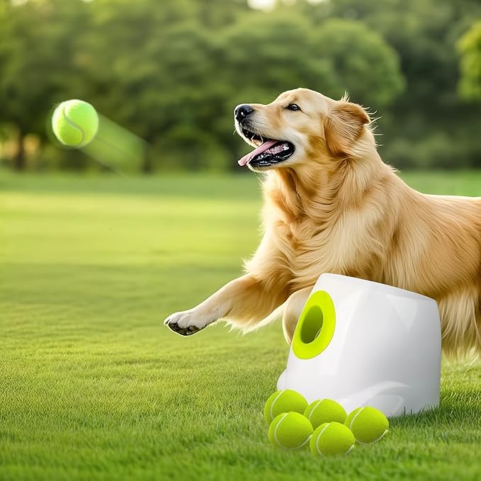 ALL FOR PAWS Automatic Dog Ball Launcher, Interactive Fetch Toy for Medium to Large Dogs, Rechargeable Pet Ball Thrower Machine for Outdoor Play, 6 Pcs 2.5-Inch Balls Included