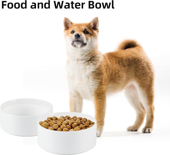 Havniva Ceramic Dog Bowls, 6.1” Dog Food and Water Bowl, Pet Feeding Bowl | Dog Food Bowl for Small Dogs, Food-Grade Ceramic, Dog Water Bowl with Non-Slip Rubber Base, Large Capacity, Dishwasher Safe