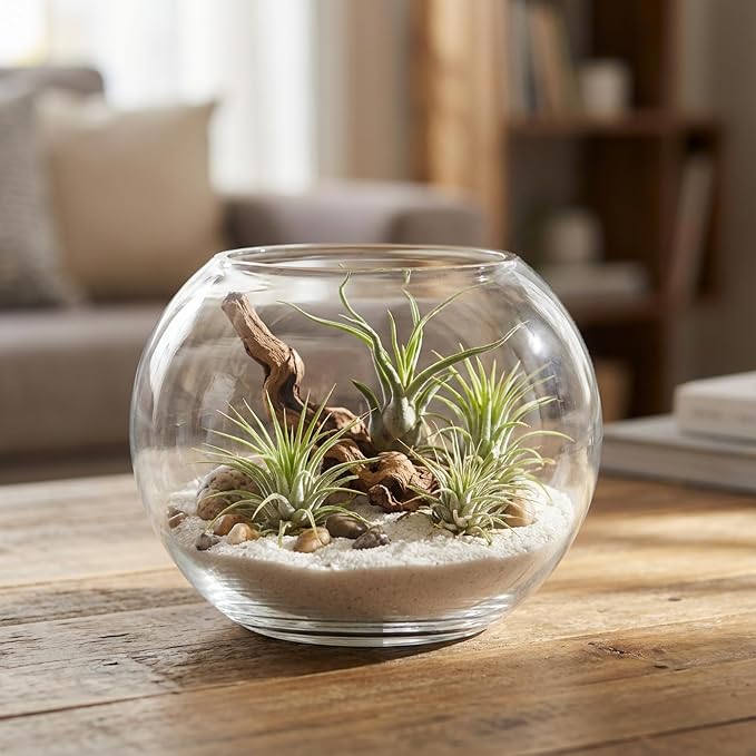 WGV Bowl Glass Vase, Diameter 5.1", Height 3.75", Open Width 3", (Multiple Sizes Choices) Clear Bubble Planter Terrarium Fish Bowl for Wedding Event Home Decor, 1 Piece (VBW0005)