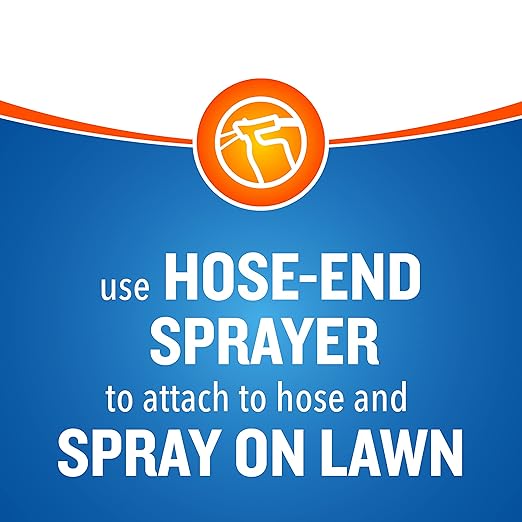 Cutter Backyard Bug Control Spray Concentrate (6 Pack), Kills Mosquitoes, Fleas & Listed Ants, 32 fl Ounce