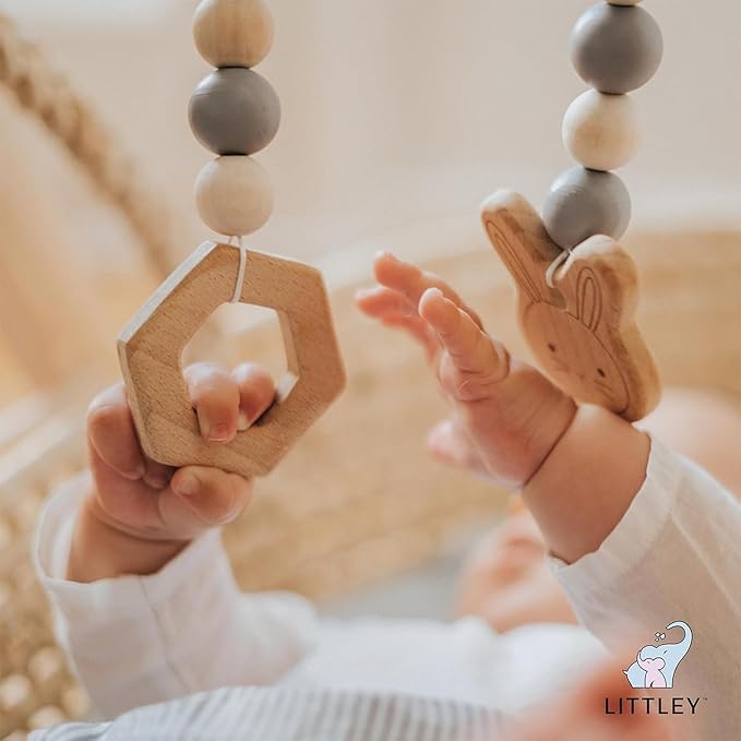 Littley Toy & Surface Cleaner | Alcohol-Free HOCl Spray for Baby Toys & High-Touch Surfaces | Fragrance-Free Formula | Gentle Cleaning for Everyday Messes | 2 oz