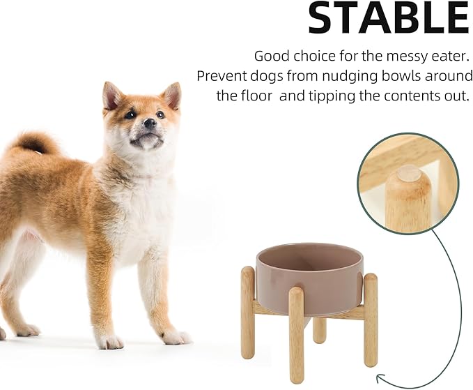 Havniva Elevated Dog Bowls Ceramic Dog Bowls with Stand, Dog Food Bowl | 6.1” Raised Dog Bowls with Non-Slip Wood Stand, Dog Food and Water Bowl Set, Dog Feeding Bowls for Small & Medium Dogs