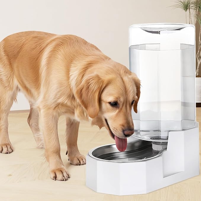 Sfozstra 8L Gravity Dog Water Dispenser:Stainless Steel Bowl | No Filter Maintenance/ Non-Slip Base/Easy-Clean/for Living Room & Bedroom/Multi-Pet Friendly