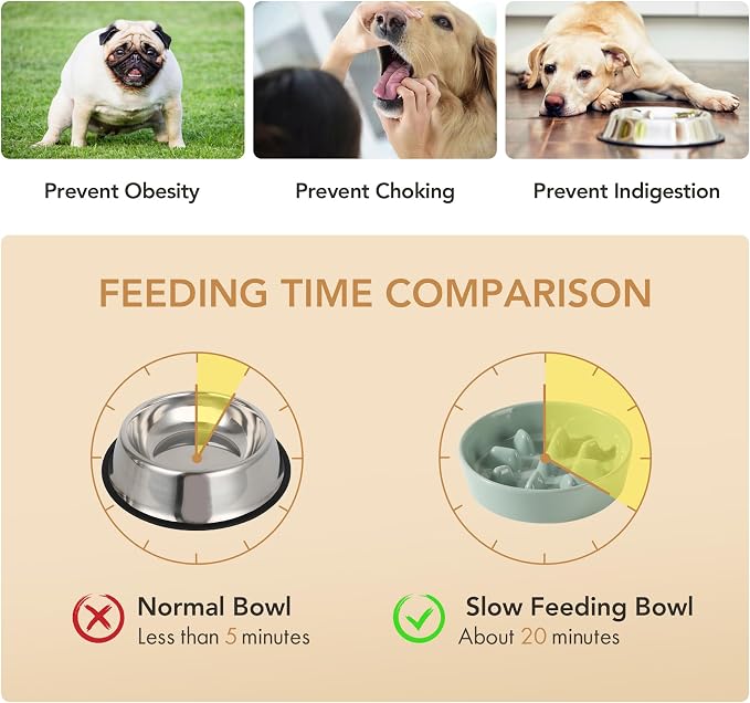 Havniva Elevated Slow Feeder Dog Bowls, Ceramic Dog Bowl Slow Feeder Set | 1.2 Cups Raised Slow Feeder Dog Bowl for Small Breed, 6.1” Dog Water Bowl with Wooden Stand, Puzzle Dog Food Bowl, Non-slip
