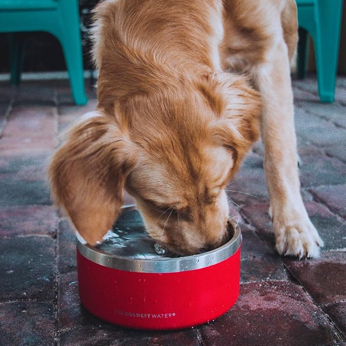 Coldest Dog Bowl - Anti Rust Metal, Non Slip, 3 Layers Insulated Stainless Steel Dog Bowls - Spill Proof & Heavy Duty - Water Bowl for Dogs, Cats & Pets, Dish Washer Safe (21 oz, Carrara Marble)