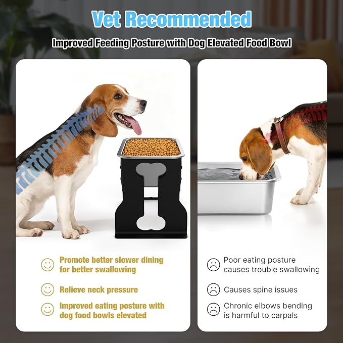 Bobbie & Laxi 10" Elevated Dog Bowl, 0.85 Gal Stainless Steel Bowl | Raised Dog Bowl for Medium Breed, Metal Dog Feeding Station for Relief Joint Pressure, Easy Clean for Indoor & Outdoor Use