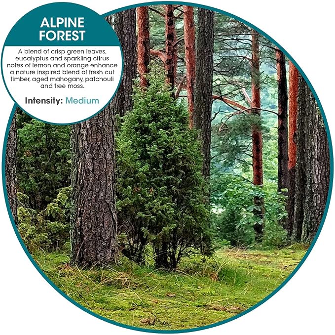 Fresh Products myfreshe Plug in Air Freshener Worry free No Heat No Glass Dry Fragrance Refills For Small Spaces Made in the USA Alpine Forest 2 pack