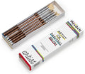 MEEDEN Artist Oil Paint Brush Set: 10 Pcs Hog Bristle Art Paint Brushes - Professional Oil Paint Brushes with Wood Long Handle - Perfect for Adults Canvas Painting