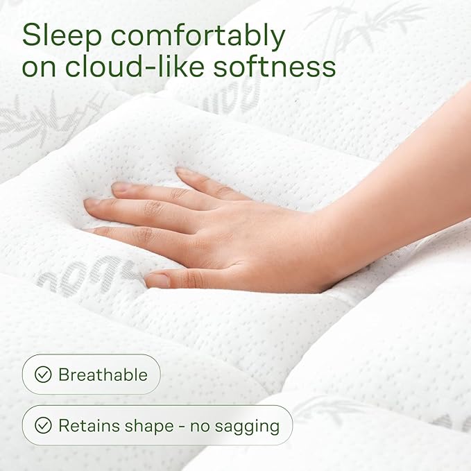 Niagara Sleep Solution Ultra Soft Queen RV Size Mattress Topper - Rayon Derived from Bamboo Pillow Top Mattress Pad for Back Pain Relief - Naturally Cooling for Hot Sleepers, White