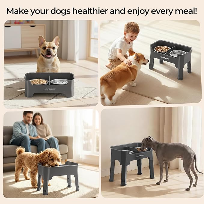 URPOWER Mess Proof Elevated Dog Bowls, Splash Guard Raised Bowl Stand | 4 Adjustable Heights, 2 Stainless Steel Bowls, Food & Water Separation, Non-Slip Base, Foldable Design for Small Dogs