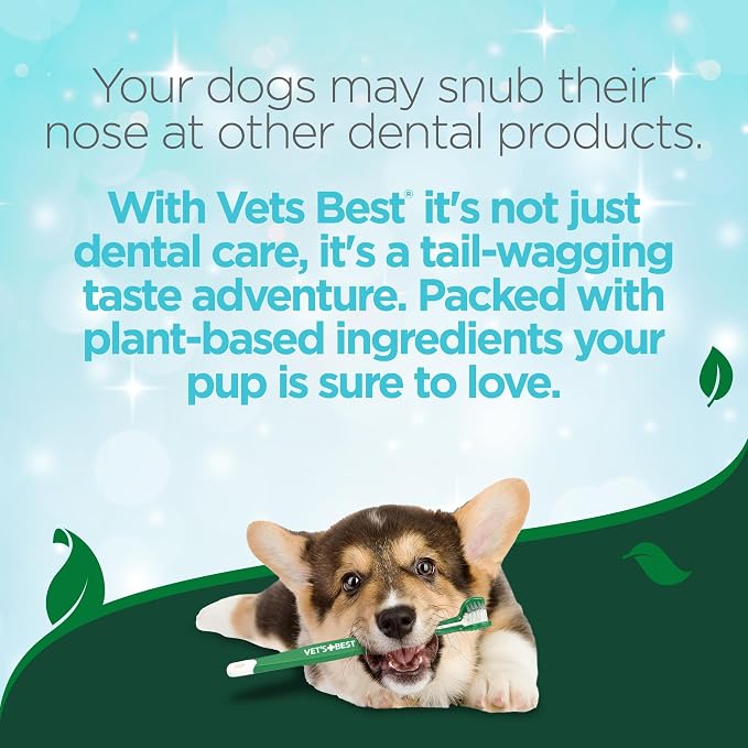 Vet's Best Enzymatic Dog Toothpaste Dental Gel, 12 Pack, 3.5 oz Tubes | Enzymatic Dental Gel, Helps Remove Plaque & Tartar, Freshens Breath, Vet Formulated, Twelve 3.5 oz Tubes