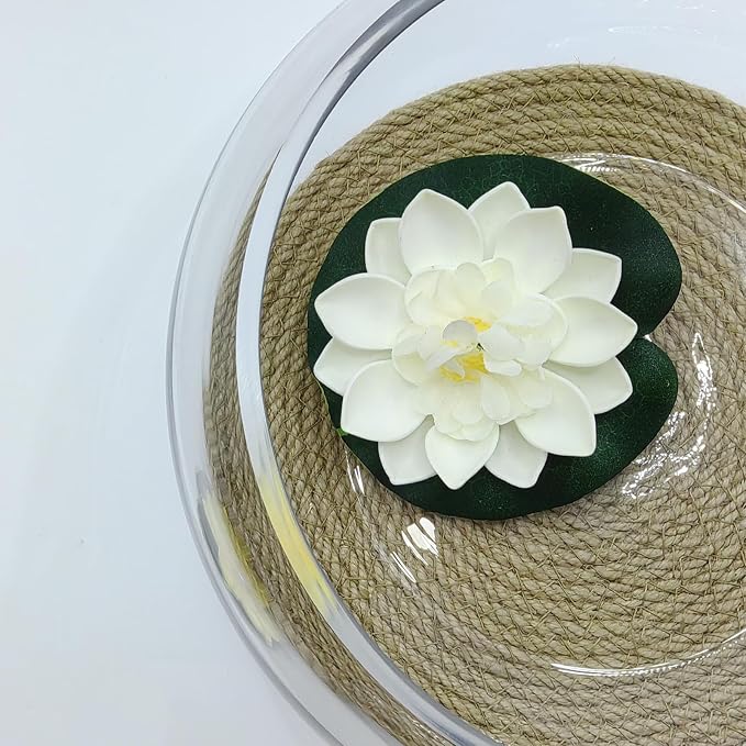 10" Large Glass Lotus Bowl Planter with Rattan Mat Round Clear Glass Water Lily Flower Pot Indoor Hydroponic Aquatic Plant Bonsai Vase Can As a Fish Tank