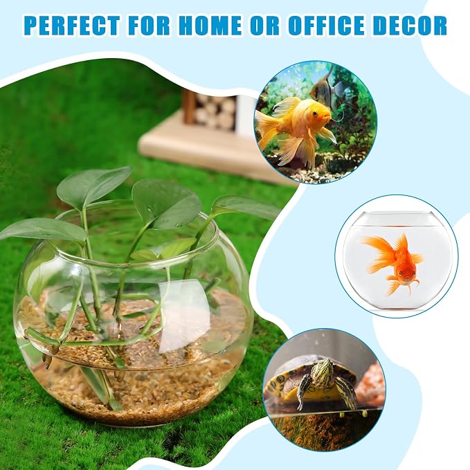 36 Pcs Fish Bowl Bubble Vase Bulk,3.5" h X 4.7" w