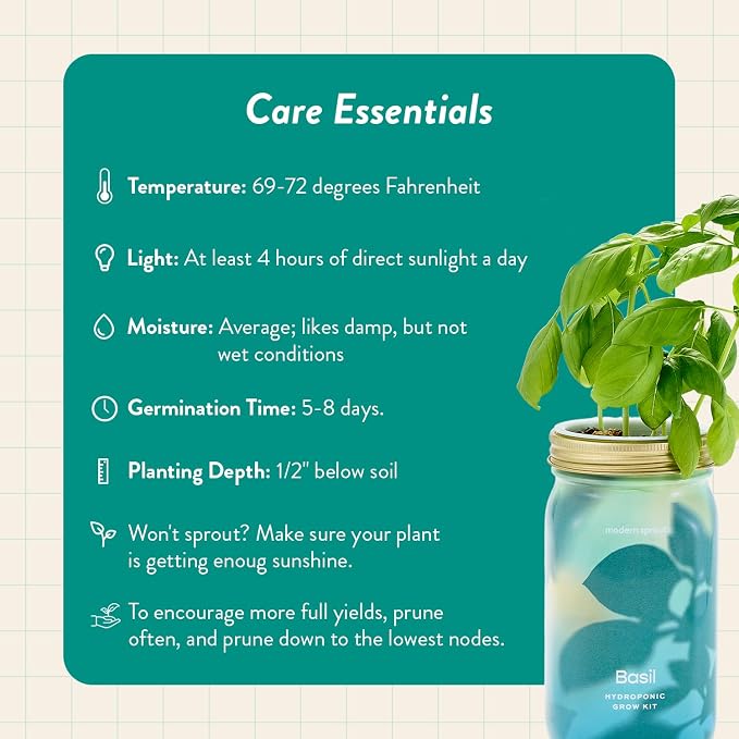 Modern Sprout Mason Garden Jar+Replant Kit -Self-Watering Hydroponics Growing System Kit w/Organic Herb Seeds -Sprouting Jar Planter for Indoor Herb Garden - Seed Starter -Gift for Mother's Day -Basil