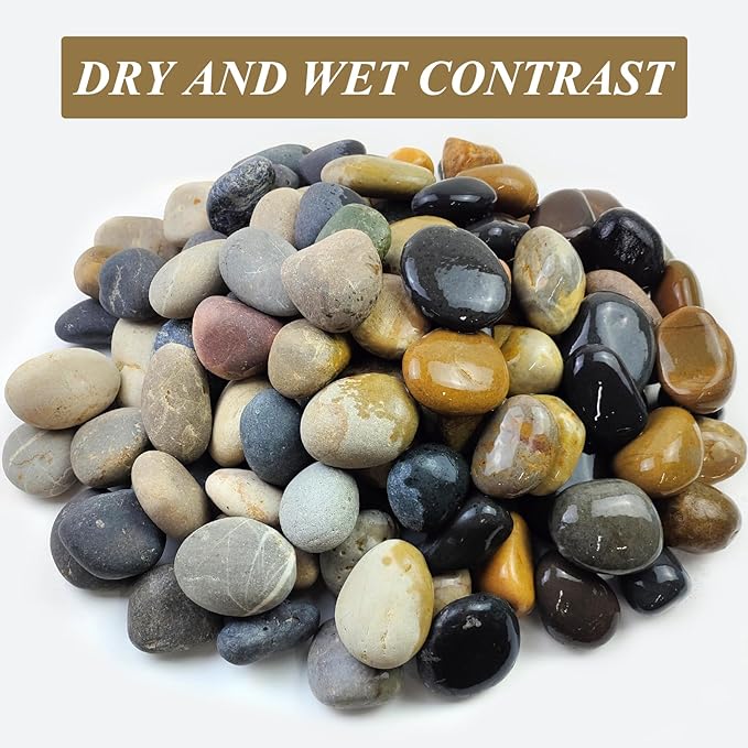 FANTIAN 5 lbs Natural Aquarium Rocks, 2-3 Inch River Rocks for Plant | Large Stones, Decorative Rock Pebbles for Plant, Fish Tank, Garden Paving, Fountain, Walkway, Outdoor Landscaping