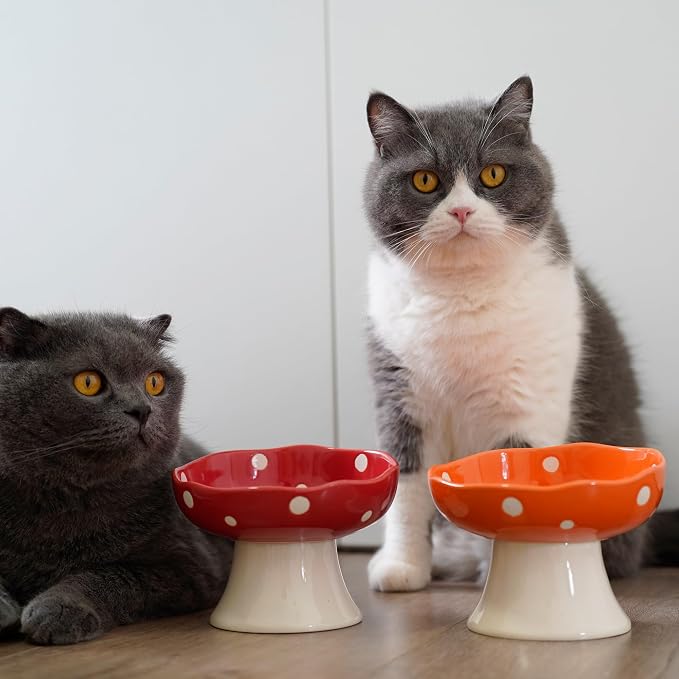 Red Mushroom Cat Bowl, Elevated Ceramic Bowl for Cats | Cute Mushroom, Elevated, Ceramic, Whisker Friendly, Wide Opening, Stable, Easy Clean