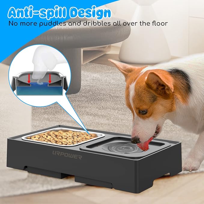 URPOWER 2-in-1 Elevated Dog Bowls 4 Height Adjustable Raised Dog Bowls | Stainless Steel Food Bowl with No Spill Water Bowl and Non-Slip Stand for Small Medium Large Dogs