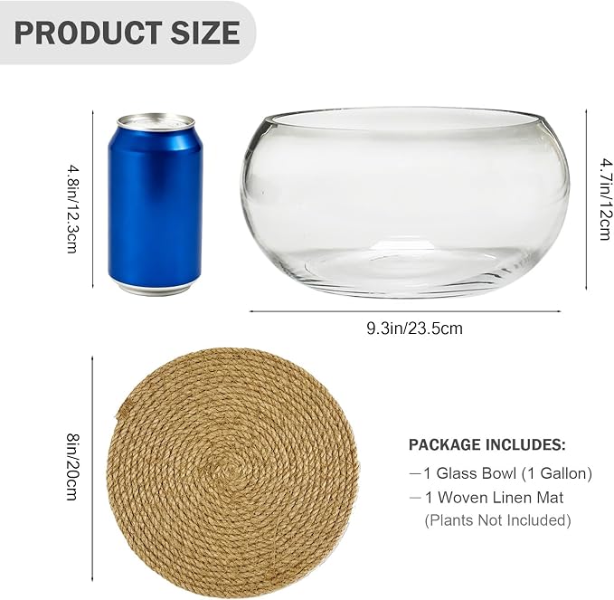 10" Large Glass Lotus Bowl Planter with Rattan Mat Round Clear Glass Water Lily Flower Pot Indoor Hydroponic Aquatic Plant Bonsai Vase Can As a Fish Tank