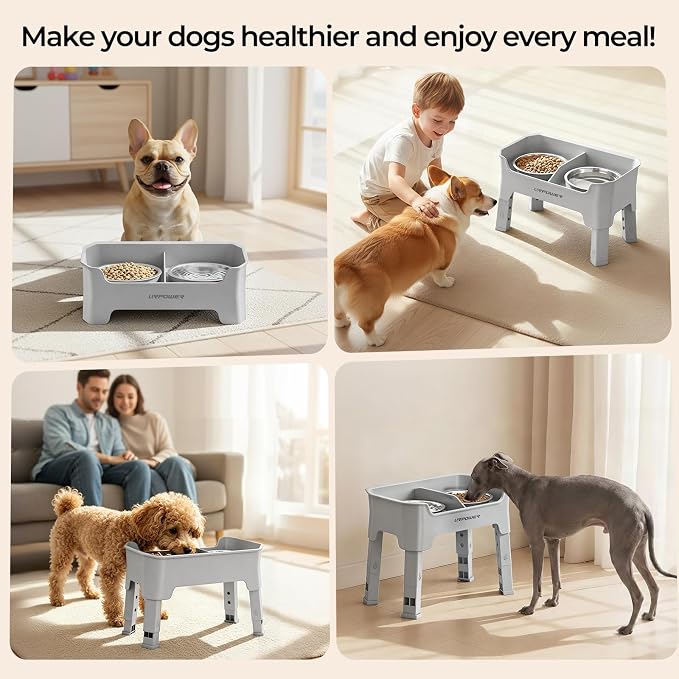 URPOWER Mess Proof Elevated Dog Bowls for Small Dogs with Splash Guard | 2 Stainless Steel Dog Bowls Non-Slip Food and Water Bowl Set with High Wall Splash Guard Design for Small Dogs, Light Grey