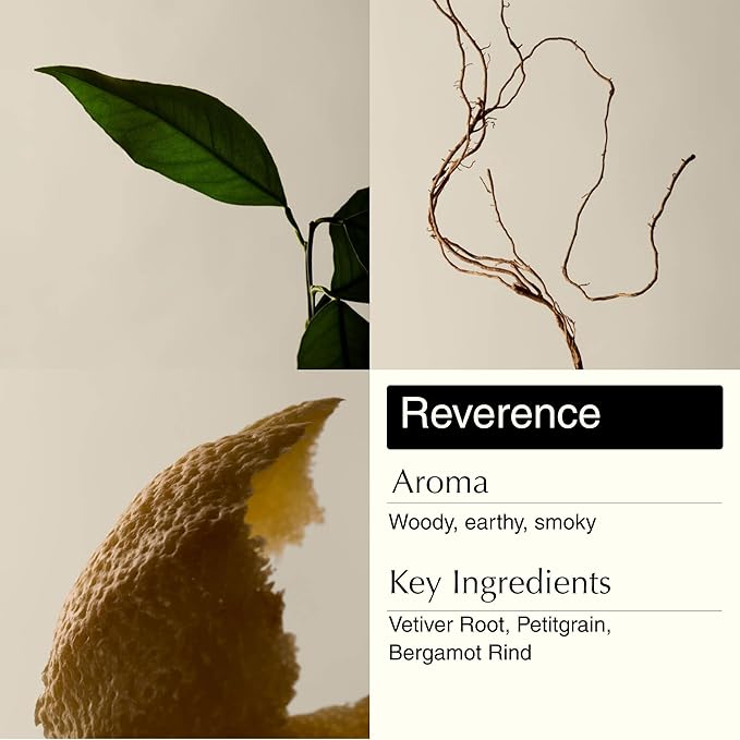 Aesop Resurrection & Reverence Aromatique Hand Wash Set – Nourishing Hand Wash & Gentle Exfoliating Hand Soap Duo | Botanical Cleansers Made with Hydrating Essential Oil Blend | 16.9 oz Each (2 Pack)