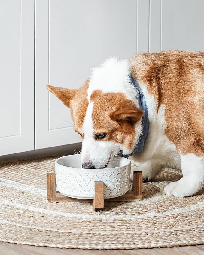 LE TAUCI Ceramic Dog Bowls for Large Dogs, 7" Elevated Water Bowl with Acacia Wood Stand, Single Set for Food & Water, Fireworks