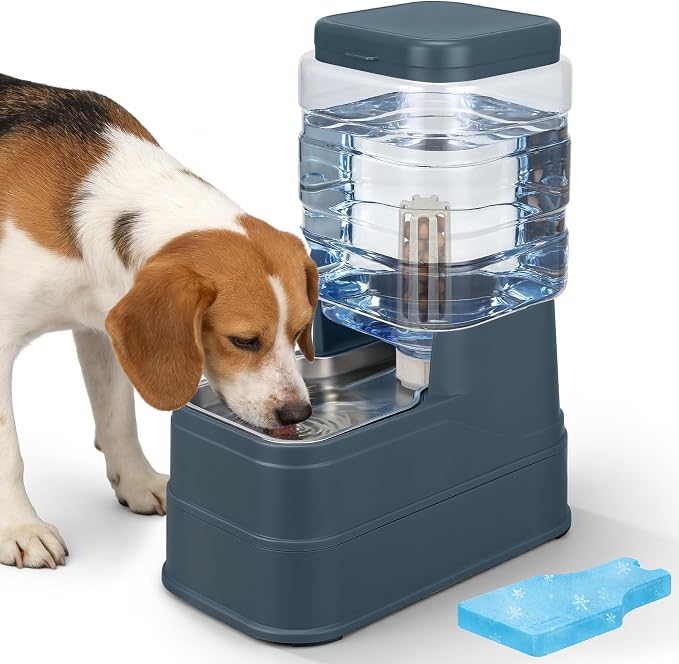 Auto Dog Water Dispenser with Stainless Steel Bowl Feeder for Pets | Automatic Cat Water Dispenser Gravity Water Feeder Dog Waterer for Puppy Kitten Pets (Include Filter &Ice Pack) 1.6Gal Navy