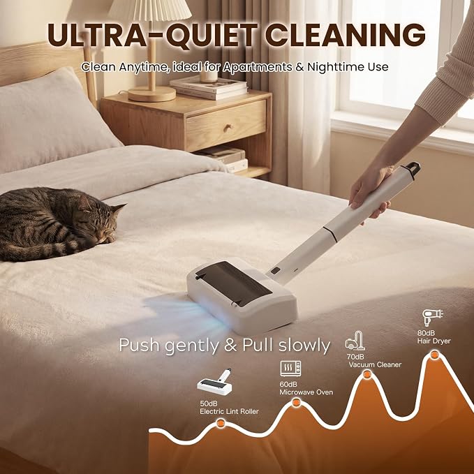 Carpet Rake Electric Rechargeable for Pet Hair Removal 10X Efficient and Quiet Cat Dog Hair Remover for Carpet, Rugs, Mats