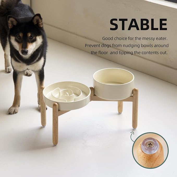 Havniva Elevated Slow Feeder Dog Bowls, Ceramic Dog Bowl Slow Feeder Set | 1.6 Cups Raised Slow Feeder Dog Bowl for Medium Breed, 7.3” Dog Water Bowl with Wooden Stand, Puzzle Dog Food Bowl, Non-slip