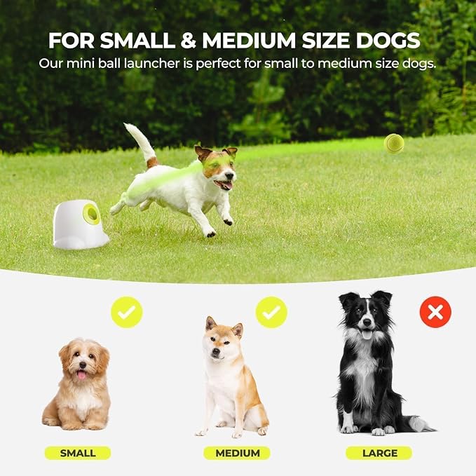 ALL FOR PAWS Automatic Dog Ball Launcher, Interactive Fetch Toy for Small to Medium Dogs, Pet Thrower Machine for Indoor & Outdoor Play, 3 Pcs 2-Inch Balls Included