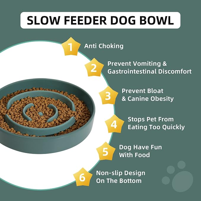 Havniva Dog Bowls Slow Feeder, Ceramic Slow Feeder Dog Bowls for Fast Eater | 1.6 Cups Dog Food Bowl Puzzle Feeder, Slow Feeding Bowls for Medium Breed, Non-Slip Base, Anti-Choking