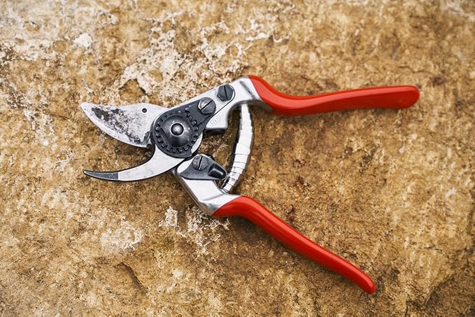 Felco F 14 Pruning Shears – 7.1" Garden Clippers for Small Hands with Bypass & Anvil Blades | Hand Pruners for Gardening | Garden Tool Cutter with Forged Alloy Steel Build, Lightweight Swiss Design