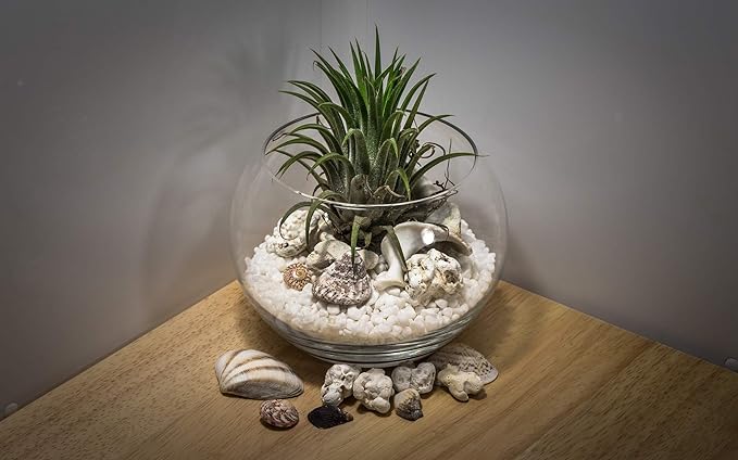 WGV Large Bowl Glass Vase, Diameter 19", Height 16", (Multiple Sizes Choices) Clear Huge Round Bubble Vase Jar, Floral Planter Terrarium for Wedding Event Home Decor, 1 Piece (VBW1916)