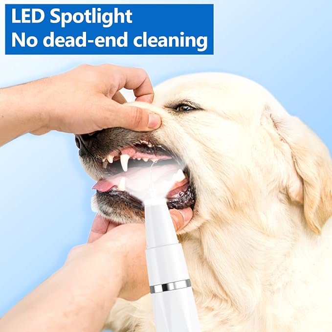 Ni-SHEN Dog Plaque Remover for Teeth，Pet Ultrasonic Tooth Cleaner，Teeth Cleaning Kit -Tartar Remover for Teeth Stains for Dogs and Cats (White)
