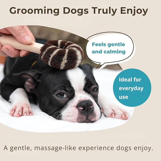 Wablade Dog Brush for Sensitive Dogs & Puppies, Soft, 9.1", Made in Japan | Daily grooming & massage for routine care, gently lifts loose surface fur with palm & sisal fibers (Not a Deshedding Tool)