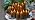 YOROXRG Halloween Decoration Flickering Flameless Candles Battery Operated Timer Led Pillar Candles with Realistic Moving Wick Candles for Home Decor 24 Pack (D2.2 xH 5" 6" 7")(Grey)