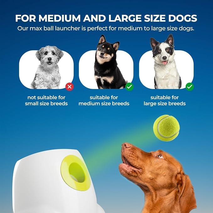 ALL FOR PAWS Automatic Dog Ball Launcher, Interactive Fetch Toy for Medium to Large Dogs, Rechargeable Pet Ball Thrower Machine for Outdoor Play, 6 Pcs 2.5-Inch Balls Included