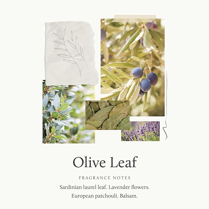 Thymes Olive Leaf Hand Wash Refill - Scented Liquid Hand Soap - Nourishing and Lightly Scented, Ideal for Daily Cleansing - Woody & Floral Olive Leaf Scent - Liquid Hand Soap - 24.5 Fl Oz