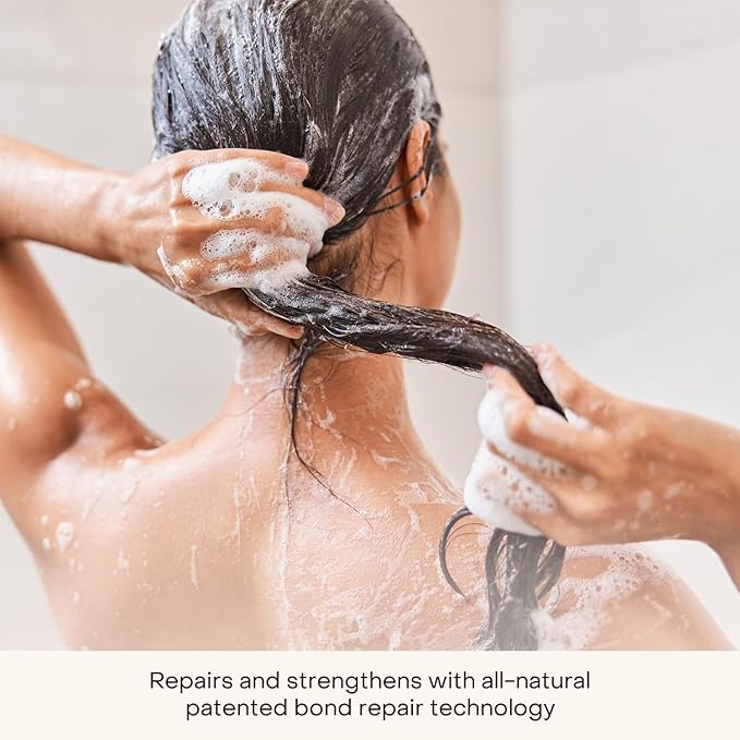 Everist The Haircare Essentials Duo, Includes Shampoo & Deep Conditioner, Repairs Hair, Ideal for Sensitive Scalp, Hydration and Smoothing, Plant-based, Color-safe, 3.4 fl oz Each