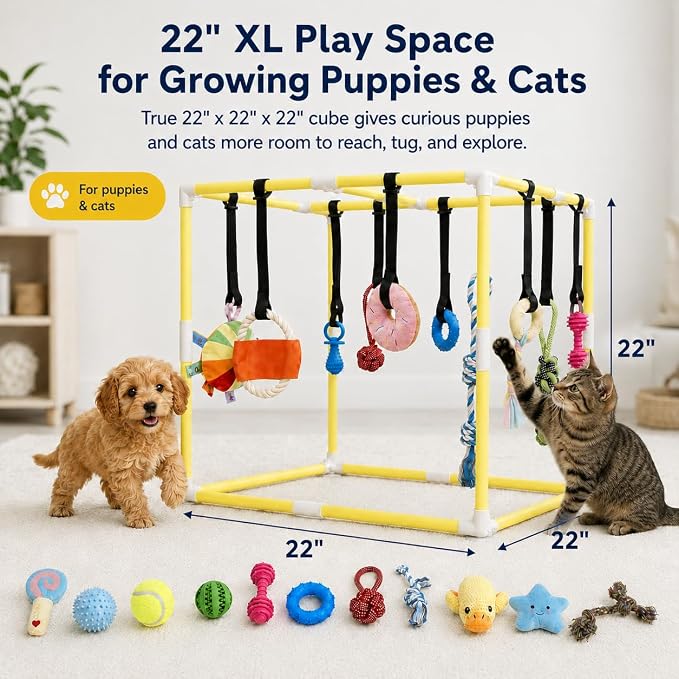 Puppy Play Gym with 17 Hanging Toys, 22" Indoor Dog Jungle Gym | Interactive Enrichment Activity Center for Active Small Dogs, Puppies & Cats, Teething & Squeaky Toys, Stable PVC Frame