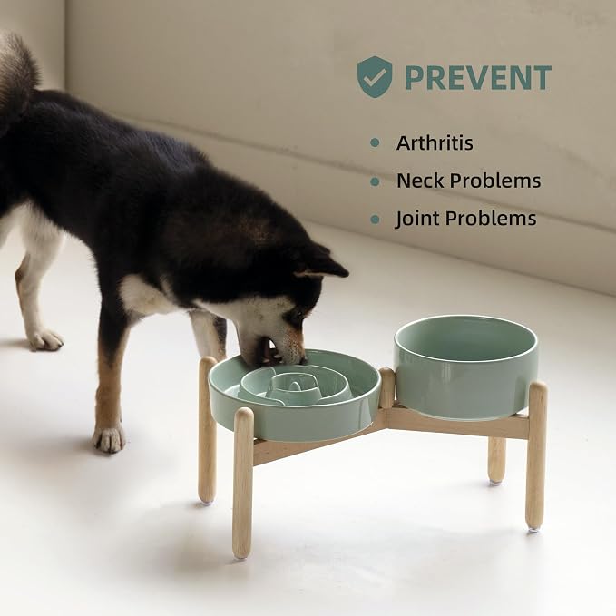 Havniva Elevated Slow Feeder Dog Bowls, Ceramic Dog Bowl Slow Feeder Set | 1.6 Cups Raised Slow Feeder Dog Bowl for Medium Breed, 7.3” Dog Water Bowl with Wooden Stand, Puzzle Dog Food Bowl, Non-slip