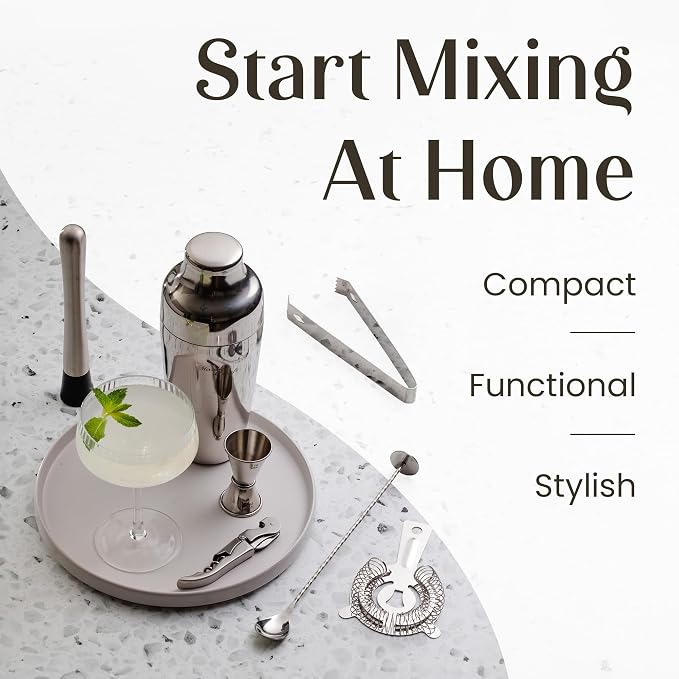 Mixology & Craft Cocktail Shaker Set with Bamboo Stand - Professional10-Piece Bartender Kit, Complete Bar Set for Home Use with Jigger, Muddler, Strainer, Spoon, Pourers & Corkscrew (Silver)