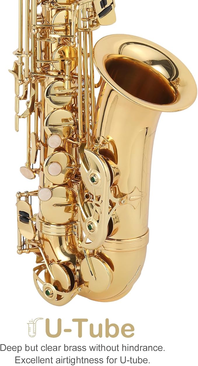 E Flat Alto Saxophone, Brass Sax with Carry Case, Golden | Saxophones Include Mouthpiece, Cleaning Brush, Cloth, Strap Accessories, For Beginner Student and Professional