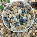 2lbs Natural River Rocks for Plants, 3/8" Aquarium Gravel | Decorative Polished Mixed Pebbles for Fish Tank, Gardening, Flower Pots, Vase Fillers, Indoor Water Fountains, Landscaping