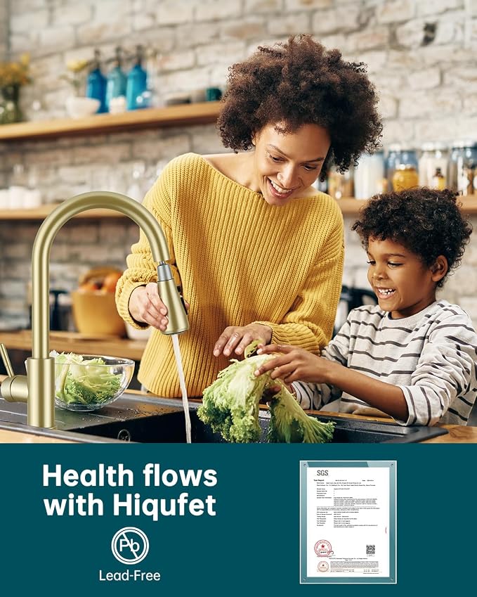 Hiqufet Vintage Kitchen Faucet, Pull Down Sprayer, Brushed Gold | Easy Install, 360 Swivel, 3 Spray Modes, SUS304 Stainless Steel, High Arc, Fits RV/Laundry/Bar Sinks, High Arc, Lead-Free