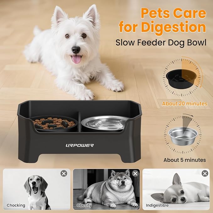 URPOWER Elevated Dog Bowls for Small Dogs, 3-in-1 Raised Stand | No Spill Water Bowl, Slow Feeder Dog Bowls, Non-Slip Food and Water Bowl Set for Small, Medium & Large Dogs
