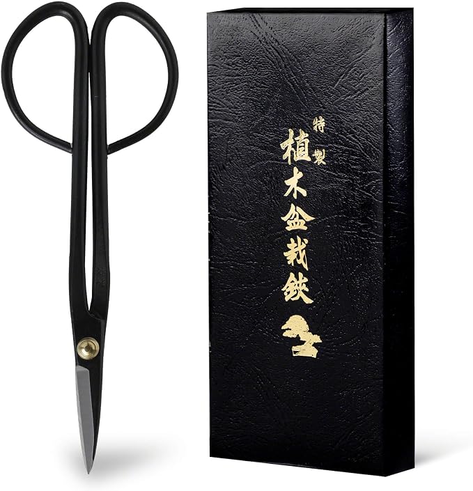 Hanafubuki Wazakura Twig Bonsai Scissors Made in Japan 7inch(180mm), Japanese Bonsai Garden Tools, Hasami Pruning Shears - Black