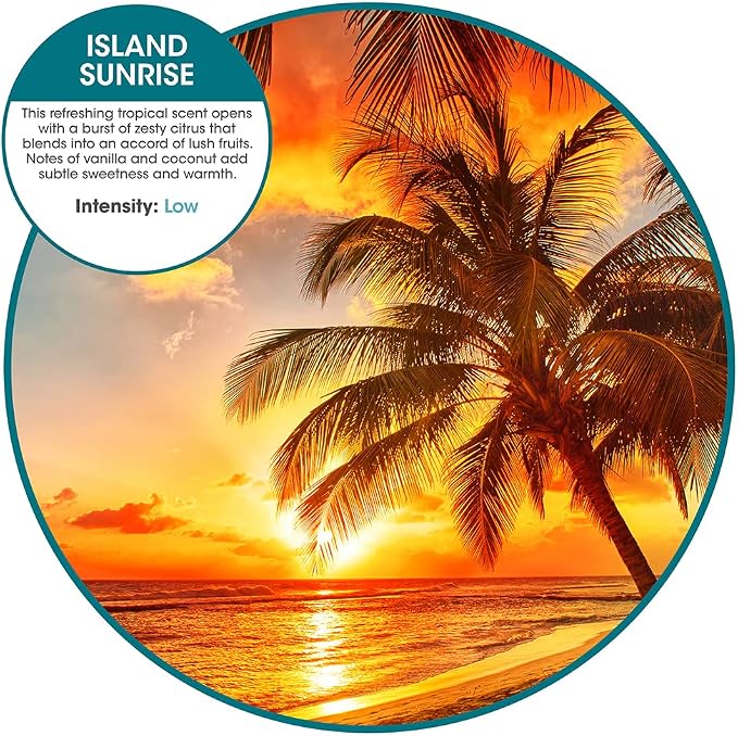 Fresh Products myfreshe Plug in Air Freshener Worry free No Heat No Glass Dry Fragrance Refills For Small Spaces Made in the USA Island Sunrise 2 pack